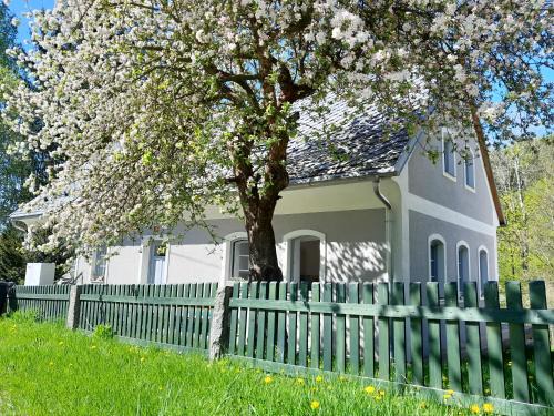 Oldrichov v Hajich Villa | Oldřichov 125
