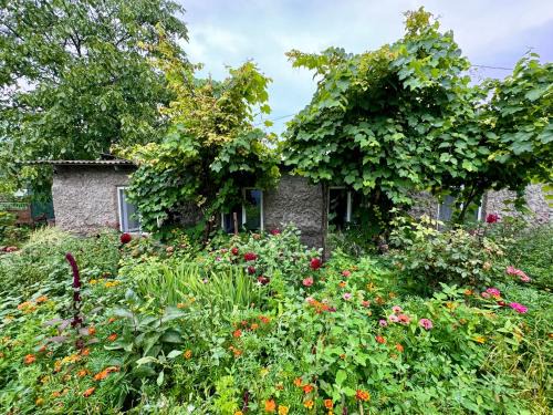 Kaputan Apartment | Old Farm