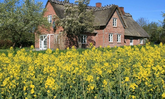 Stenderup House | Old Shoemaker's House - Holiday House Old Shoemaker's House
