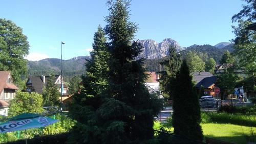 Zakopane House | Oleksandra Protsenko "Oleńka" Willa Asieńka