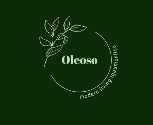 Igoumenitsa Apartment | Oleoso