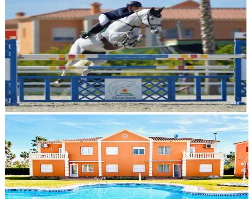 Molinell Apartment | OLIVA NOVA EQUESTRIAN CENTER MET Mediterranean Equestrian Tour