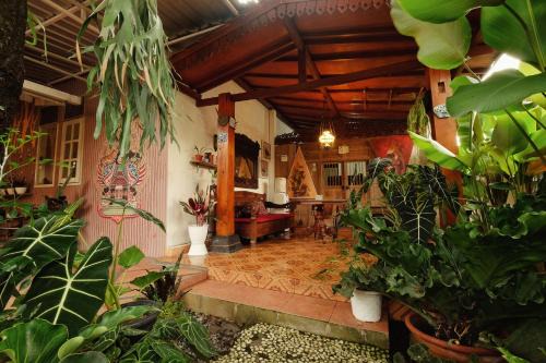 Central Yogyakarta House | Omah Konco Yogyakarta