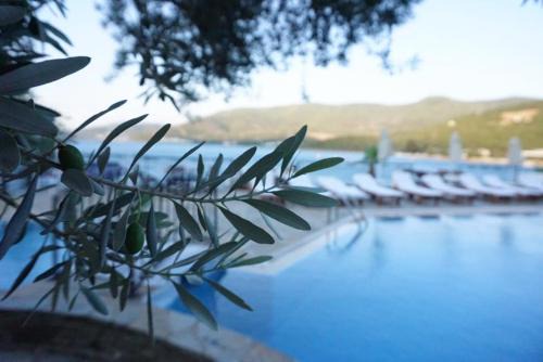 Torba Hotel | Omar Hotel & Suites