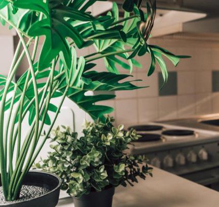 Jyvaskyla Apartment | One bedroom flat with free parking
