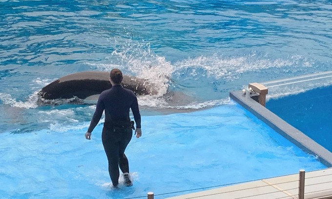 Orange Lake Apartment | Orange Lake Vacation Resort Florida Five minute drive to Disney World Parks.