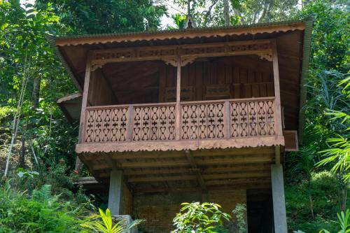Bohorok Cabin | Orangutan Lodge and Jungle Trekking Activity