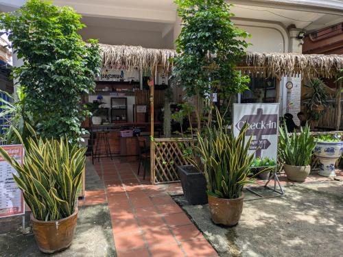 Kampot House | Orchid 101