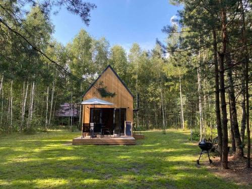 Dzwierzuty House | Ostoja Orżyny, Dom nr 1 - W stronę jeziora