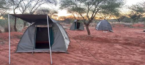 Gaborone Other | Pa Vula Hotels Campsite and Gardens