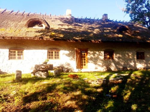 Laimjala Apartment | Paali cottage rent
