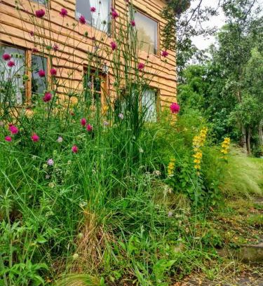 La Villa House | Paisaje Nativo