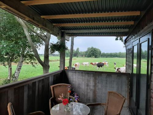 Geesteren Other | Pak oe rust, bij stacaravan Busscher