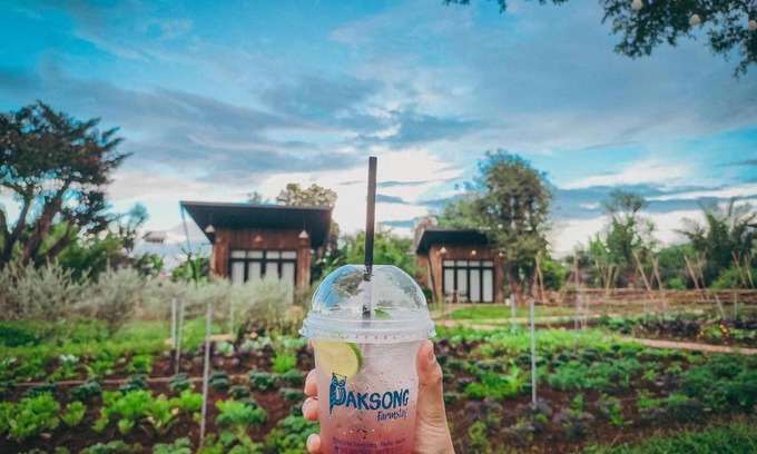 Pleiku House | Paksong Farmstay Gia Lai