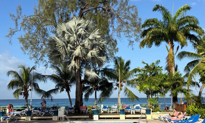 Sunset Crest Cottage | Palm Cottage - Sunset Crest, close to the beach and swimming pool