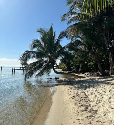 Placencia Apartment | Palm & Pelican