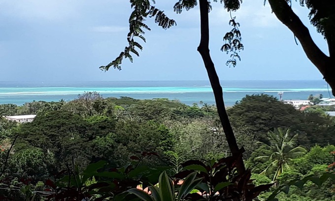 Buccoo Apartment | Palm Tree Apartment, Sea view, Close to beaches, Ideal for families Full kitchen