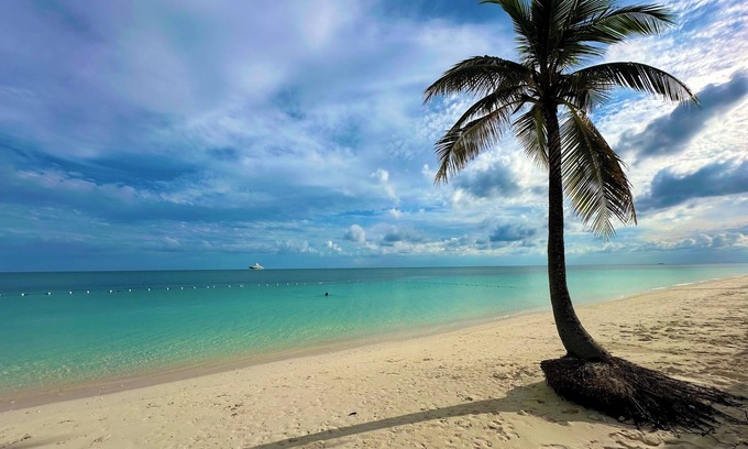 Williams Town Condo | Palm Tree Cove - Stunning Partial Ocean Views; Beachfront Location!