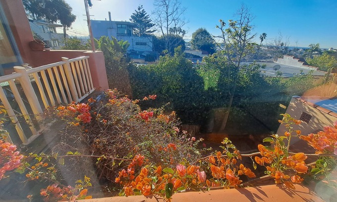 Venice House | Palm trees ocean breezes and walk to the sand