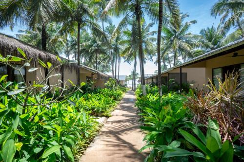 Ashvem Resort | Palma Beach Resort