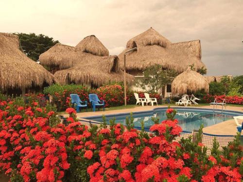 Palomino House | Palomino Breeze Hostal