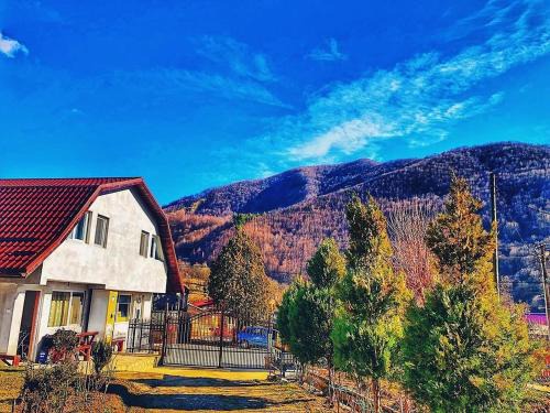 Nehoiu Villa | Panaite’s Home