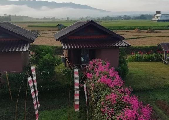 Pua House | Pang Chompu