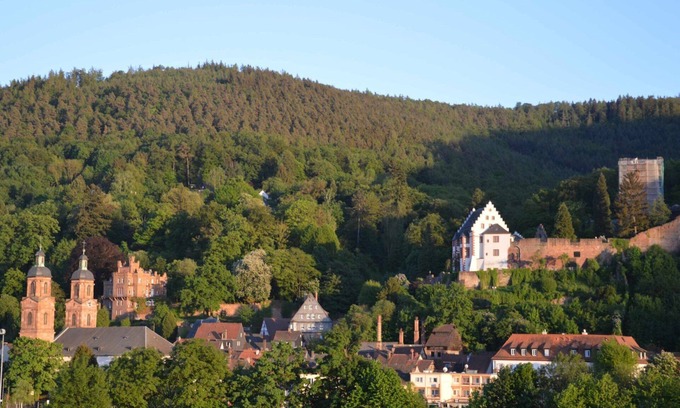 Miltenberg Apartment | Panorama view Miltenberg, 3 pers., central, on the Main, terrace, boat rental, P