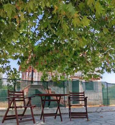 Pangaio Bed & Breakfast | Paradise Apartment