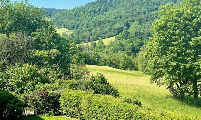 Langelsheim Apartment | Paradise for hikers and bikers in the middle of a nature reserve