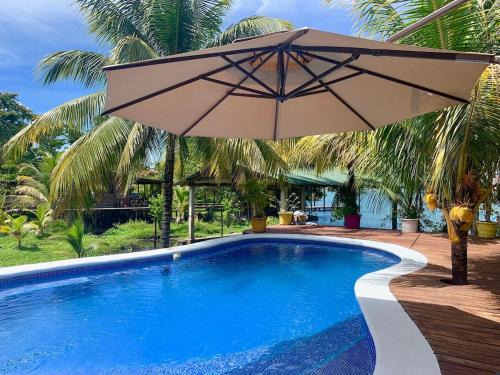 Fronteras House | Paradise Found