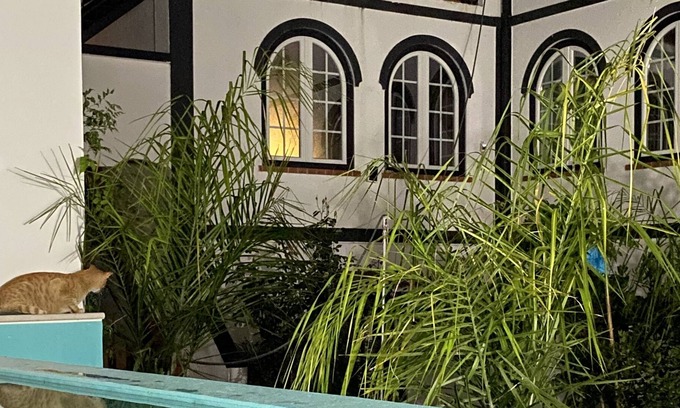 Coruche House | Patio da Villa Guest House