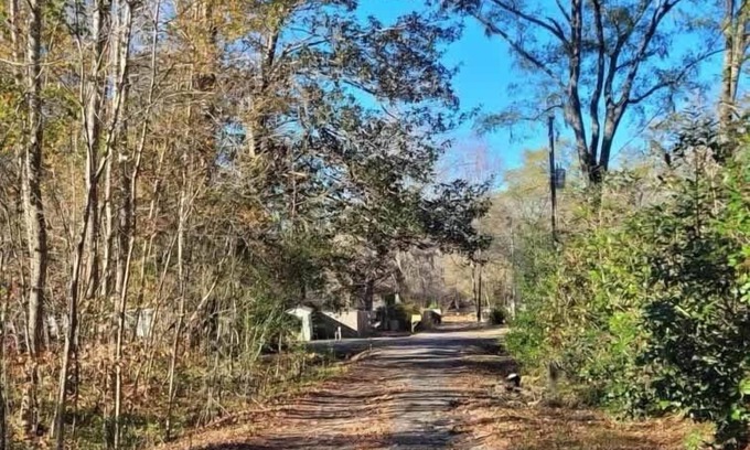 Pineland Cabin | Peaceful Cabin @ Ebenezer Creek