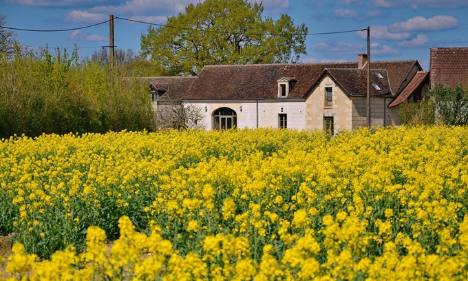 Villedieu-le-Chateau Other | peaceful farmhouse surrounded by fields and woods, renovated comfort