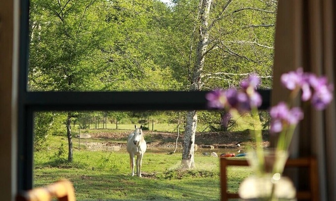 Denman Island House | Peaceful Island-style garden filled acreage
