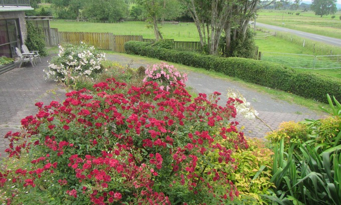 Waitakaruru Apartment | Peaceful Miranda area and less than an hour to AucklandnSleeps three