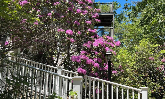 Cape Neddick House | Peaceful retreat among the trees only a five minute walk to Perkins Cove