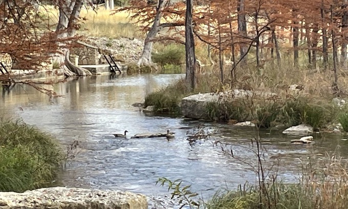 Ingram Cabin | Peaceful River Cabin #1- Paradise River Bend