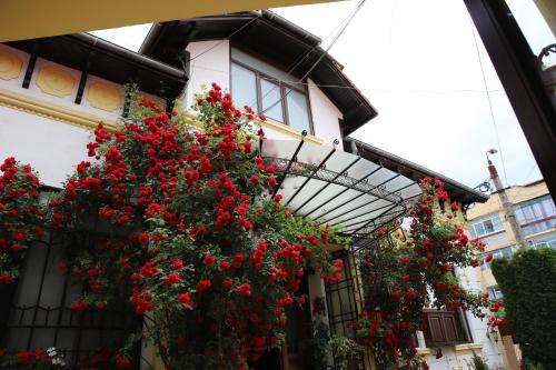Campulung House | Pension Kokett