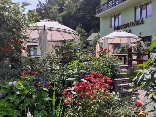 Cavnic House | Pensiunea Ana