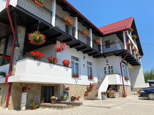 Gura Humorului House | Pensiunea Boculeț Gura Humorului