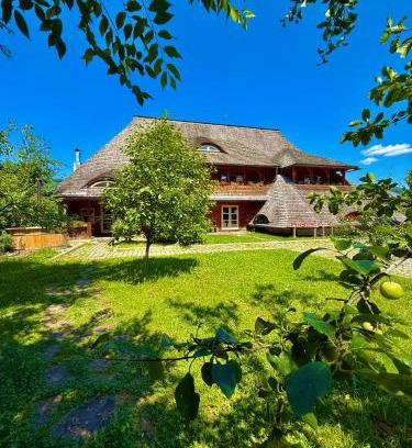 Viseu de Jos House | Pensiunea Iza