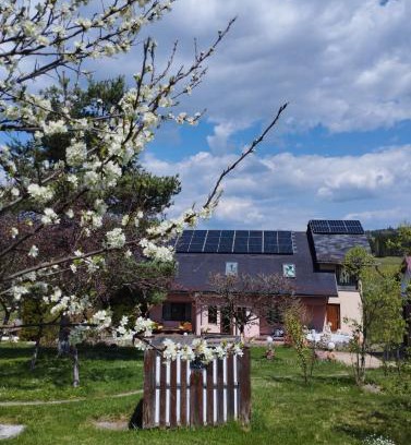 Saru Dornei Villa | Pensiunea La Plai - Oază de Relaxare