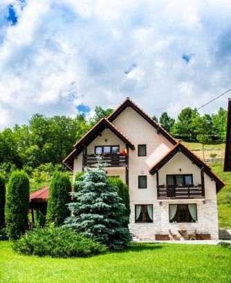 Albac House | Pensiunea Poienita