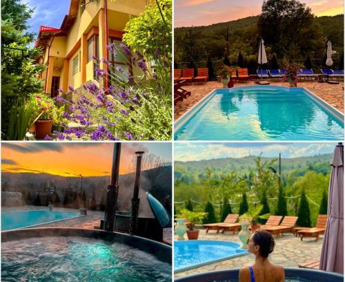 Slanic Bed & Breakfast | Pensiunea PORTAS RESORT