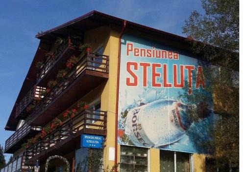 Predeal House | Pensiunea Steluta