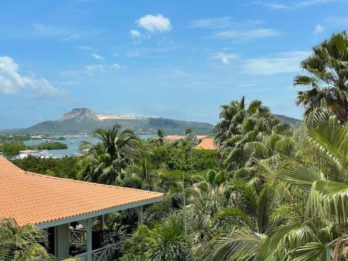 Jan Thiel Apartment | Penthouse Tropicana 6 persons gated penthouse with pool
