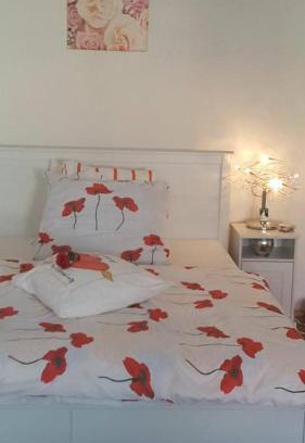 Moravska Trebova Apartment | Penzion-apartmán U Johana