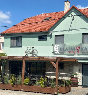 Blatnicka House | Penzion Blatnička