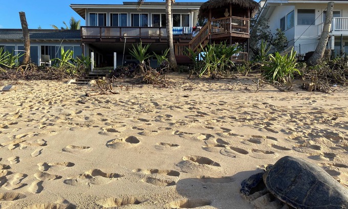 Haleiwa Apartment | PERFECT LOCATION BEACH FRONTnINQUIRE special discounts reduced rates for march